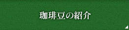 珈琲豆の紹介