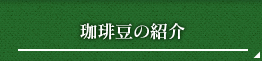 珈琲豆の紹介
